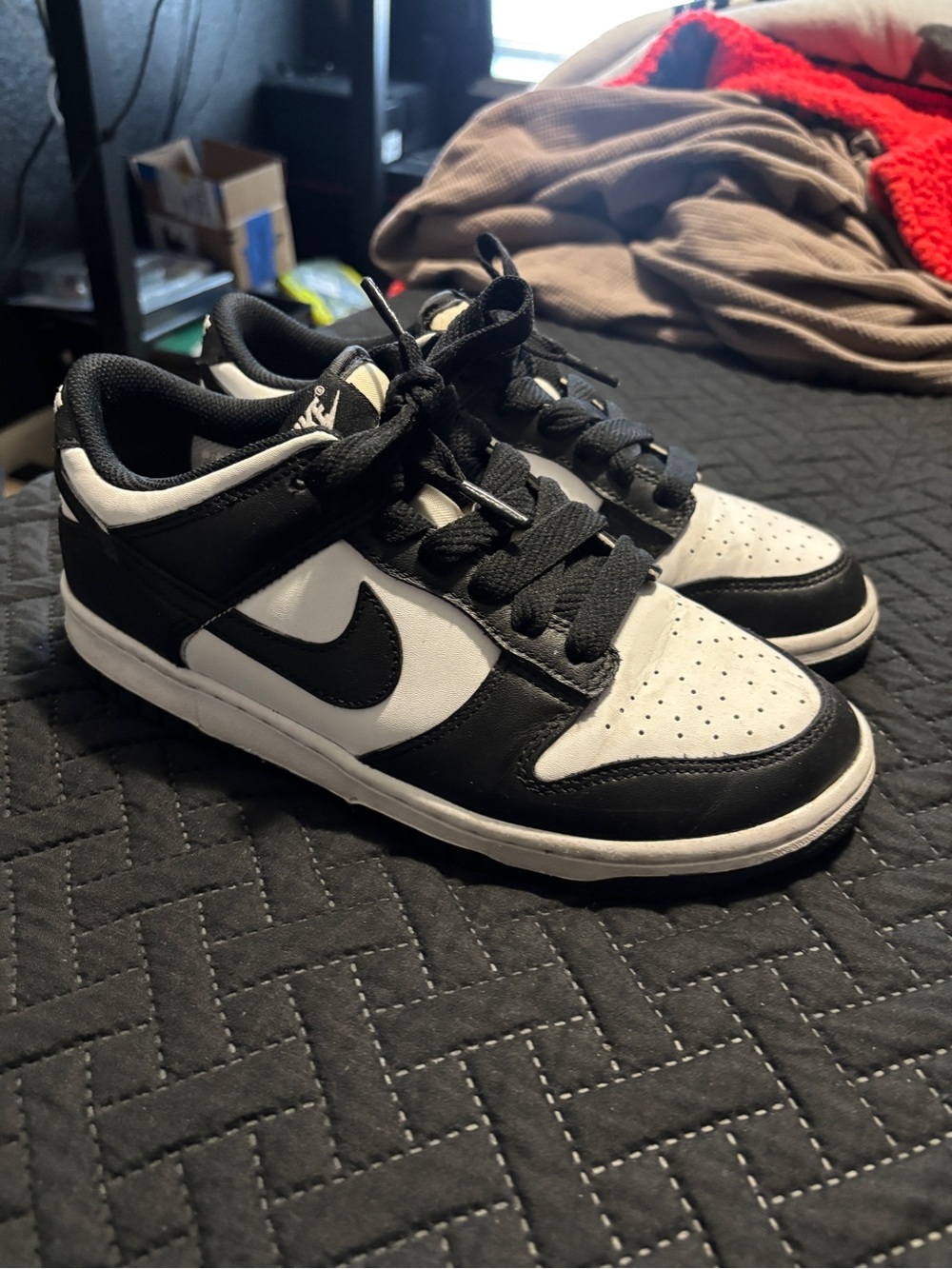 Nike Dunk lows